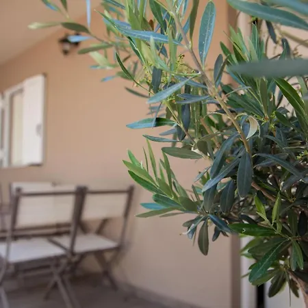 Lithostroto Central Loft Argostoli (Kefalonia)